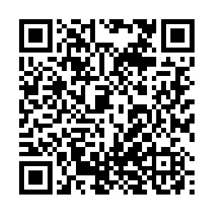 两个长得一模一样的人躺在了一张巨大的沉香软榻之上二维码生成