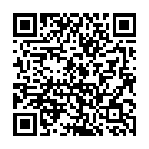 两个阴神真人几乎在一个呼吸就消耗光十几枚护甲符二维码生成