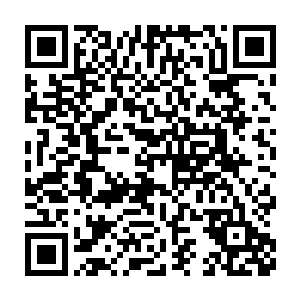 两个黑衣大汉从白昊走进家门的时候就已经将目光牢牢钉在了他身上二维码生成