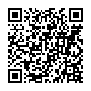 两个8阶强者竟然毫无反抗之力便成为了他的傀儡二维码生成