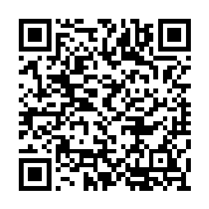 两人一见面就恨不得捞起袖子打个几百个回合的二维码生成