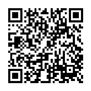 两人似乎都因为各自的身份在保持着小心和警惕二维码生成