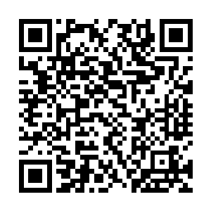 两人刚来水行宫时最多也只是带了比自己低一级的部下二维码生成