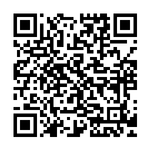 两人厮杀激荡而起的余波甚至将那些魔相死士给一时震慑住了二维码生成
