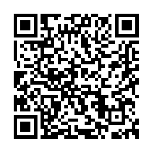 两人双拳之间侧面横生出由磅礴气机散开的一扇二维码生成