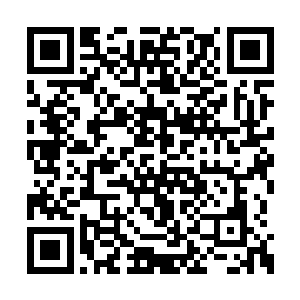 两人只是被那爆亮绿光晃了一瞬就直接闭上了眼二维码生成