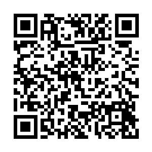 两人同时扬着头去看龙天漪之前打开的那个柜子二维码生成