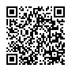 两人商定明天一早就去拍公司去看那件元青花大罐二维码生成