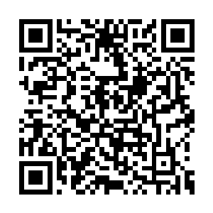 两人在守卫的带领下顺利见到了随府主人贺巴斯二维码生成