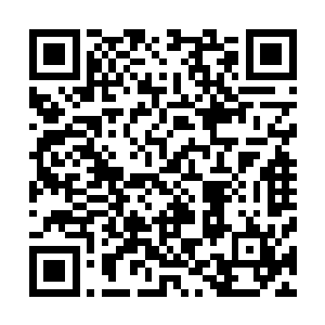 两人在近乎凝固的空间中打出了一连串电光石火的华丽对攻二维码生成