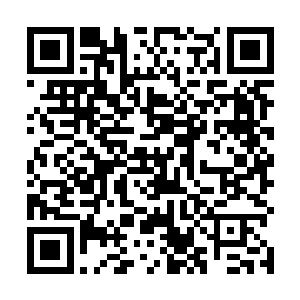 两人如果一起只怕凤君曜和她连起来都不是他们的对手二维码生成