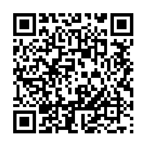 两人完全没有身为金丹期修真者的那股锐气和潇洒二维码生成
