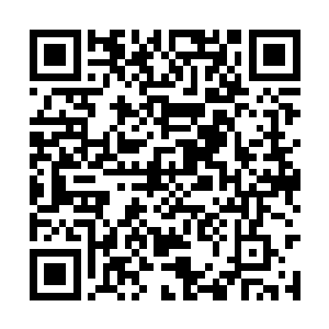 两人对老爷子燕破天当初的决定是发自肺腑的佩服二维码生成