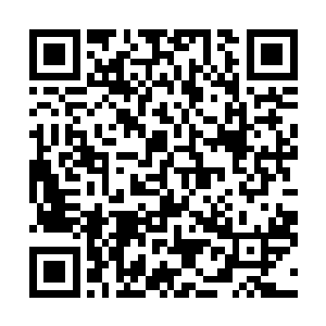 两人就趴伏在那个当初遇见伊凡诺维奇的酒吧对面山坡上二维码生成