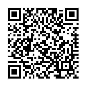 两人就这么一打一逃转眼间就消失在陶小东的视野中二维码生成