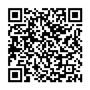 两人就这么滴溜溜地绕着圈子攻击了那处关节十几次二维码生成