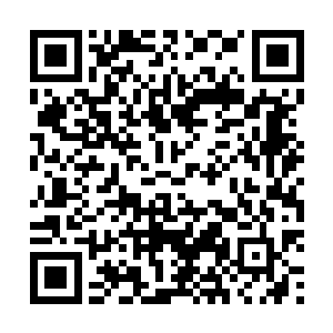两人当中一人佩剑一人背负双刀的高手形象也是极为明确二维码生成