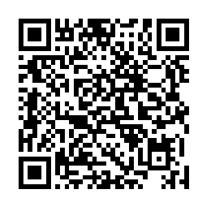 两人当即便把在黎光神虚洞外探得的消息跟吴岩说了起来二维码生成