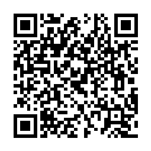 两人当然不知道留守的两个家伙对自己的那些胡说八道二维码生成