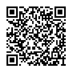 两人心中一惊抬头那一袭蓝衣的人正目光灼灼们二维码生成
