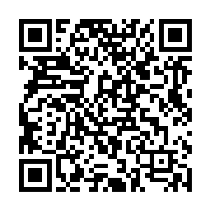 两人恨不得直接跳起小苹果来当然了要是他们会的话二维码生成