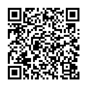 两人打算在遇到穿沙甲之前先看看这片沙漠底下还有什么二维码生成