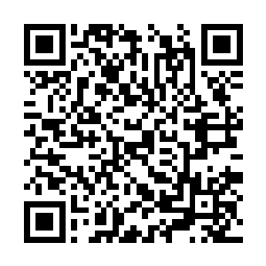 两人此时的叫的样子还有吼出的话真是一模一样啊二维码生成