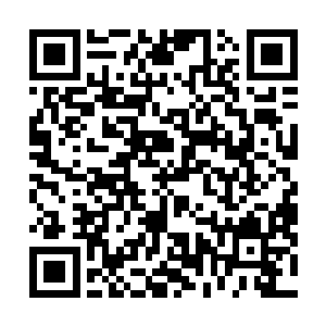 两人牵着手在陈雷等人的簇拥下到这个靶场边的小屋院落二维码生成