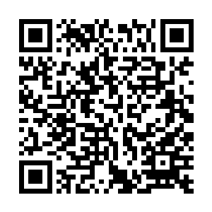 两人的出身就决定了能看到很多好莱坞人士看不到的地方二维码生成