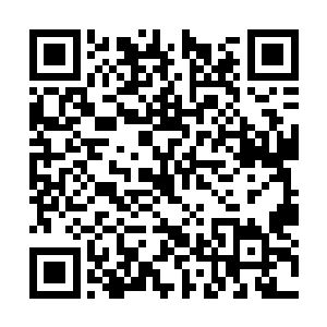 两人的婚事可以说是沈家这么多年来办得最大的事二维码生成