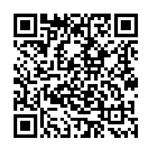 两人的目光之中仿佛要喷出无尽的火焰要将叶尊吞噬掉来二维码生成