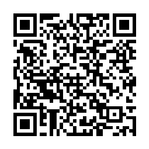 两人的身影在这片已经破碎的黑暗空间中激烈交战二维码生成