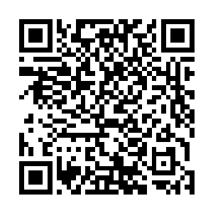 两人终于看清楚这位传说中的叶公子具体长得什么样子了二维码生成