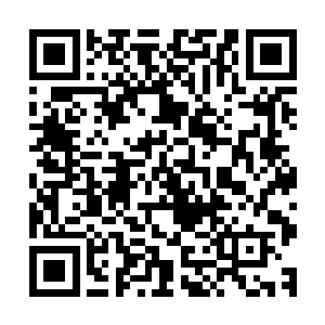 两人耳中忽然听到山谷中咚咚咚的有重物撞地的声音向外传来二维码生成