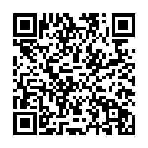 两人自然要表现的对这两种天地灵材不可割舍的感觉了二维码生成