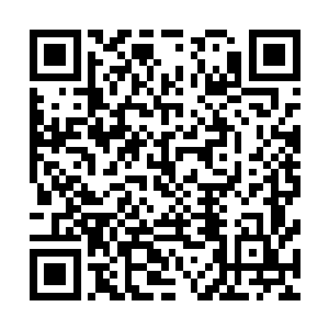 两人虽然没有探得妖府为何会大肆在岭北抓捕修士送往岭南二维码生成