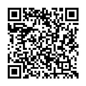 两人这辈子也没想过自己能出手对抗万妖天的人二维码生成