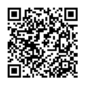 两人远远地便看见镇元子靠坐在主位上握着一卷经文二维码生成