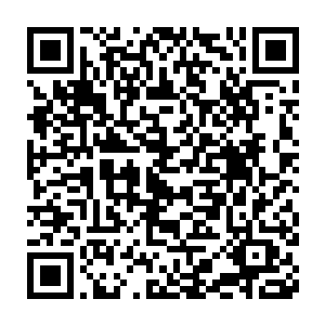 两人都在选择对手的时候都选择了魔武学院的没有圣级战力的参赛者二维码生成