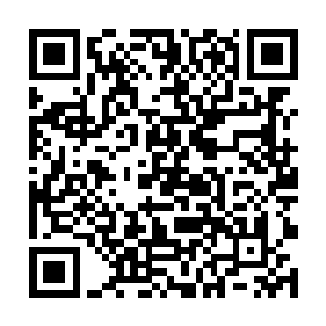 两人都知道从此以后他们彼此之间也算是竞争对手了二维码生成
