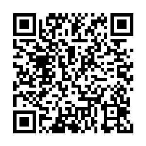 两人都被世子爷的英俊倜傥和尊贵气度震惊到了二维码生成