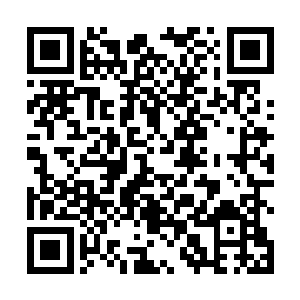 两件东西从阴影王子的储物设备里直接被枭抓到了手里二维码生成