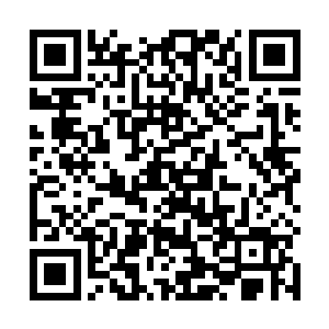 两位主持人则是她以前的老搭档沈亮和新晋主持人桑雪二维码生成