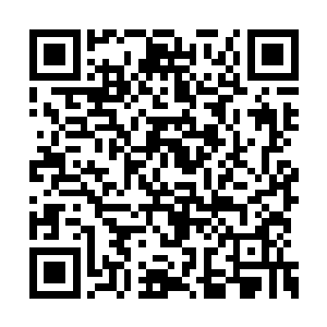 两位前辈是想着借这雷劫之威将这鬼界轰炸一番二维码生成