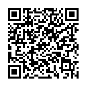 两位古魔步伐艰难的从里面从守护盾壁里走了出来二维码生成