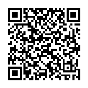 两位太上长老已经整整五百年没有出现在这议事大殿之上二维码生成
