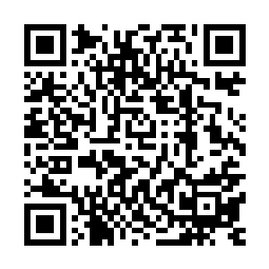 两位校长刚进来的时候对卢向东这个年轻有副主任还颇为轻视二维码生成