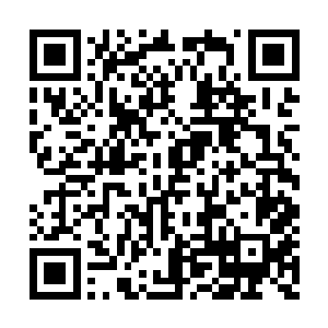 两位药剂师便基本上掌握了那疗伤药的配置方法二维码生成