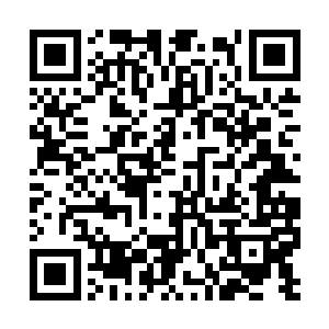 两位隐居老人见盗骊和江随云都是难得一见的奇才二维码生成