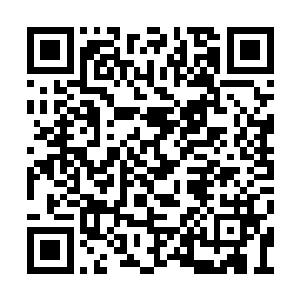 两千九百九十九条大道配合那件厉害的主宰神兵二维码生成